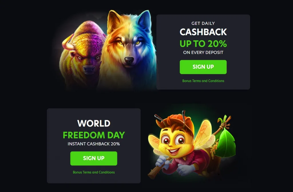 Neospin casino arsenal is a transparent system of daily cashback