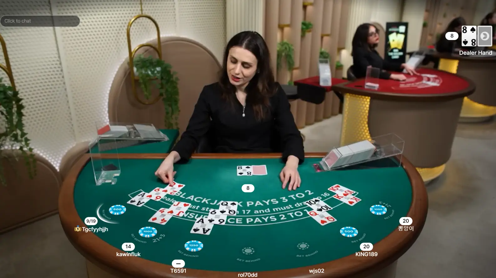 live dealer blackjack succeeds in blending the sophistication of luxurious casinos with remote accessibility